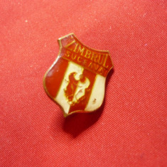 Insigna veche Club Sportiv Zimbrul Suceava , h=1,8cm metal si email