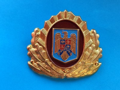 Cuc de cascheta-Pompieri foto