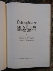 Ecaterina Dobreanu - Determinator al mustelor sinantrope din R.P.R.