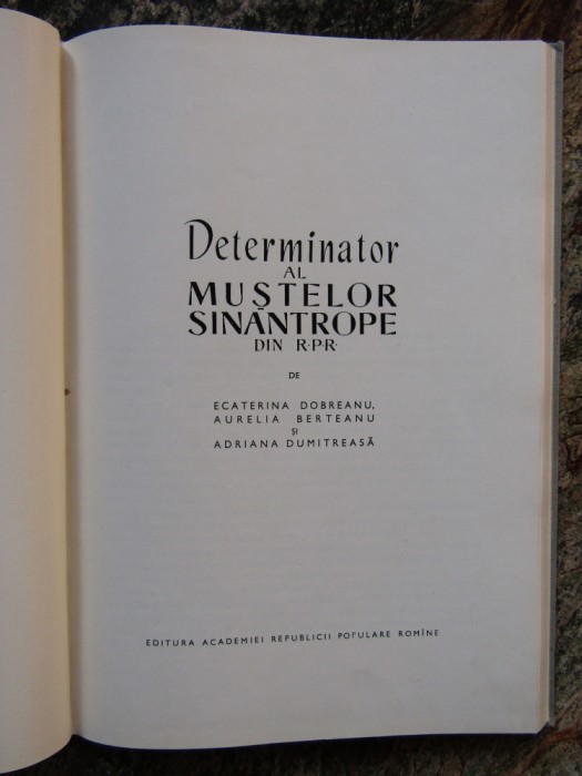 Ecaterina Dobreanu - Determinator al mustelor sinantrope din R.P.R.