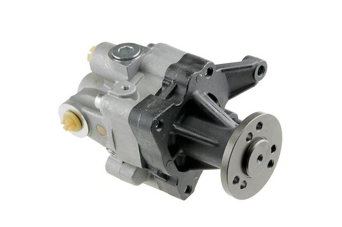 Pompa servodirectie Bmw X5 4.4i, 4.6is 2000-2003, NTY SPW-BM-001
