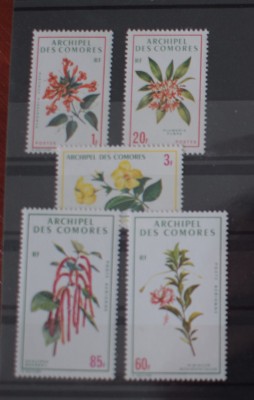 TS24/01 Timbre Comores Nestampilat - Flora foto