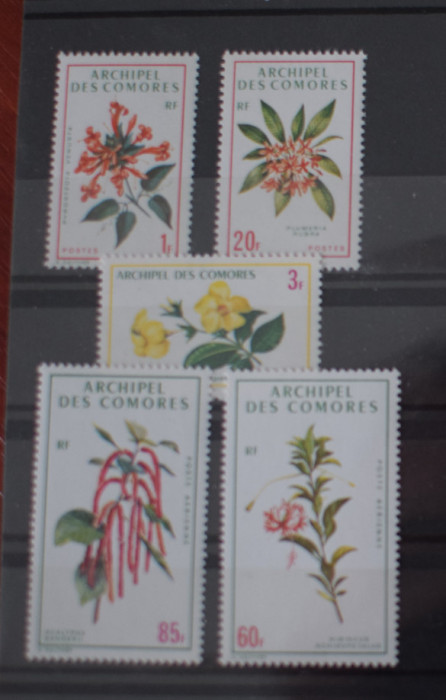 TS24/01 Timbre Comores Nestampilat - Flora