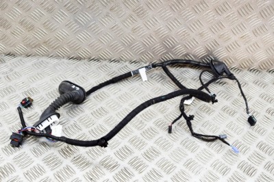 Cablaj ușă st&amp;acirc;nga spate TESLA MODEL 3 2019 OEM: 2067965-90-A 21482193 foto