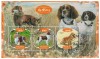 Timbre Gabon 2020: Fauna &amp; Caini de Vanatoare, Set Complet Colita + Bloc, Tema Animale