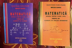 Mircea Ganga - Matematica, manual pentru clasa a XII-a, M1. Elemente de algebra. Elemente de analiza matematica (2 volume)