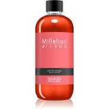Millefiori Milano Mela &amp; Cannella reumplere &icirc;n aroma difuzoarelor 500 ml