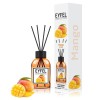 Odorizant camera Eyfel Mango, 120ml, betisoare parfumate, aroma intensa, lunga durata, decorativ, casa/birou