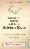 Jurnalul secret al lui Adrian Mole