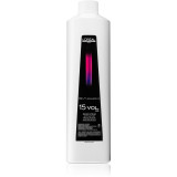 Cumpara ieftin L&rsquo;Or&eacute;al Professionnel Dia Activateur lotiune activa 15 Vol. 4,5 % 1000 ml