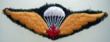 M.051 CANADA EMBLEMA ECUSON PATCH MILITAR AVIATIE PARASUTISTI