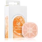 Mr &amp; Mrs Fragrance Queen 06 reumplere &icirc;n aroma difuzoarelor capsule 1 buc