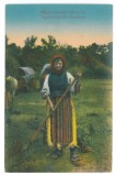 119 - MARAMURES, Romanii din Ungaria, Port Popular, Indeletniciri - old postcard - unused