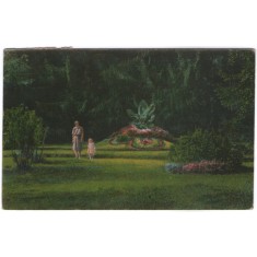 1926 - Baia Mare, livada (jud. Maramures)