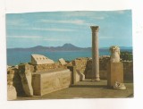 FA112 -Carte Postala- TUNISIA - Carthage. Antiquarium, circulata 1980