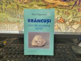 Dan Grigorescu, Br&acirc;ncuși und die moderne kunst, Bukarest 2003, Universal Dalsi Verlag, 252