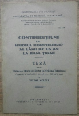 Contributiuni la studiul morfologic al lanii de un an la rasa Tigae/ 1933 foto