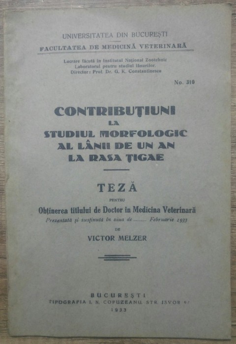 Contributiuni la studiul morfologic al lanii de un an la rasa Tigae/ 1933