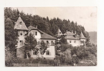 RF66 -Carte Postala- Vile in Sangeorz Bai, circulata foto