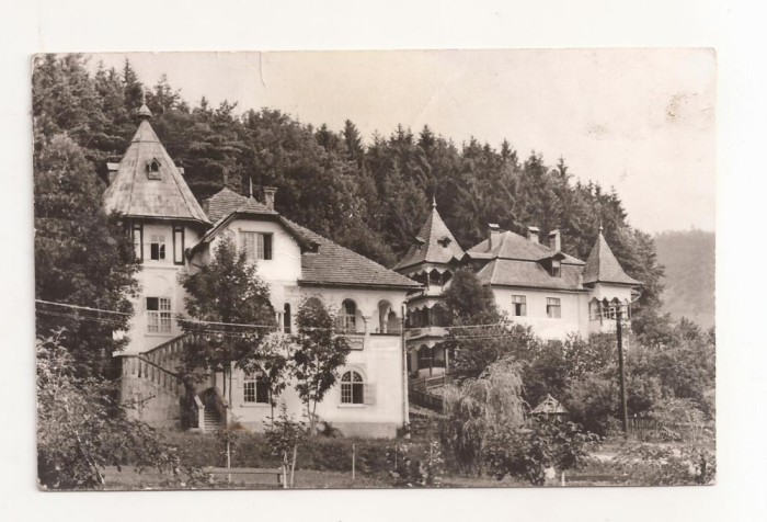 RF66 -Carte Postala- Vile in Sangeorz Bai, circulata