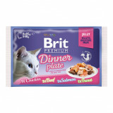 BRIT Premium Cat Dinner Plate in Jelly tin 4 x 85 g