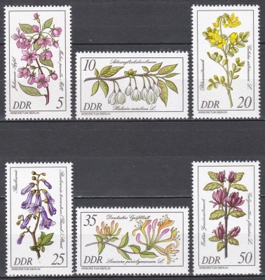 Germania RDG 1981 - Floră rară, MNH foto