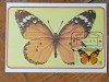 Sao Tome 1979 - fluturi, Carte Maxima