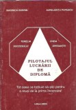 Cumpara ieftin Pilotajul lucrarii de diploma