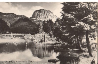 CPIB 22763 - CARTE POSTALA - LACUL ROSU, VEDERE SPRE SUHARD, RPR foto