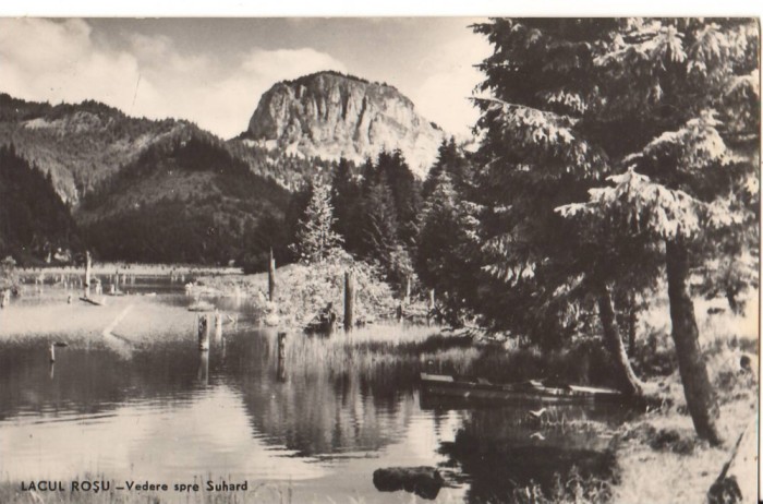 CPIB 22763 - CARTE POSTALA - LACUL ROSU, VEDERE SPRE SUHARD, RPR
