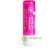 Balsam de Buze cu Unt de Shea si Zmeura 4.8g