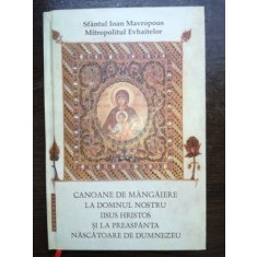 Canoane de mangaiere la Domnul Nostru Iisus Hristos si la Preasfanta Nascatoare de Dumnezeu- Sfantul Ioan Mavropous