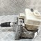 Pompa ABS LAND ROVER RANGE ROVER II P38A 1999 OEM: Off-road | 29488820