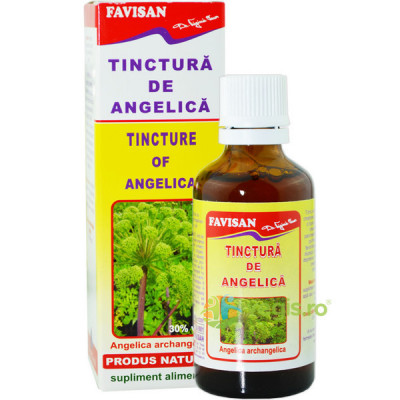 TINCTURA ANGELICA 50ml FAVISAN foto