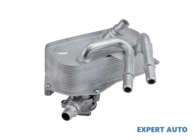 Radiator ulei BMW X1 (2009-&amp;gt;) [E84]) [E81, E87] #1 foto