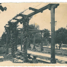 2542 - BACAU, Public Garden - old postcard, CENSOR, real PHOTO - used - 1942