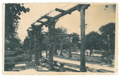 2542 - BACAU, Public Garden - old postcard, CENSOR, real PHOTO - used - 1942 foto