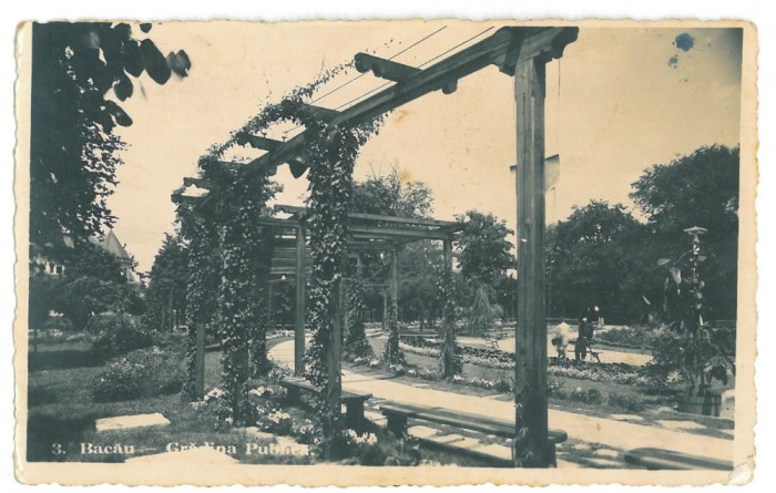 2542 - BACAU, Public Garden - old postcard, CENSOR, real PHOTO - used - 1942