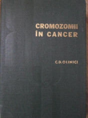 CROMOZOMII IN CANCER - C.D. OLINICI foto