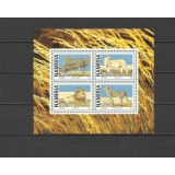 NAMIBIA 1998 FAUNA ANIMALE SALBATICE FELINE