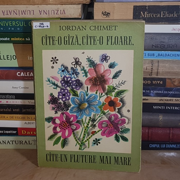 IORDAN CHIMET - CATE-O GAZA, CATE-O FLOARE , CATE-UN FLUTURE MAI MARE * ILUSTRATII LENA CONSTANTE , 1974 *