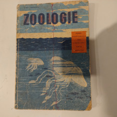 Zoologie. Manual clasa X-a. Ioan C. Voiculescu. 1967