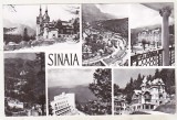 Bnk cp Sinaia - Vedere - necirculata, Printata