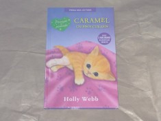HOLLY WEBB - CARAMEL un pisoi curajos foto