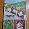 revista magazin istoric decembrie 1971