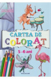 Cartea de colorat 5-6 ani