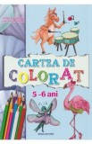 Cartea de colorat 5-6 ani, Autor Anonim