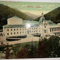 CARTE POSTALA SINAIA CAZINOUL STAMPILA SINAIA/ BRAILA 1914