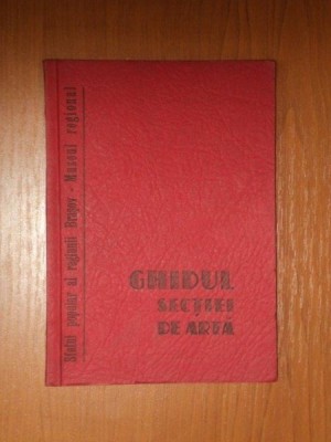 GHIDUL SECTIEI DE ARTA de OVIDIA DRAGANUS foto