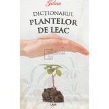 Eugen Mihaescu - Dictionarul plantelor de leac (ed. II) (Editia: 2008)